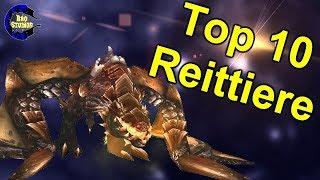 Top 10 - Die seltensten Reittiere in WoW