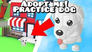 How to get the new *SECRET* practice dog in adopt me 