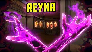 POV: You Have 1000+ Hours on REYNA