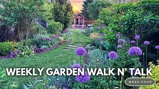 May Garden Tour / Alliums, Bearded Iris, Late Tulips, Lilacs, Geums, Azalea, Repetition Plantings