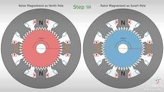 Hybrid Step Motor 50-pole Rotor