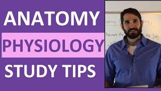 Anatomy and Physiology Study Tips | How to ACE Anatomy & Physiology