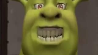 shrek music video + chicken suprise at end