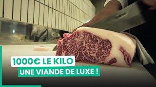 Les secrets du boeuf de Kobe, la viande la plus chère au monde | 750GTV