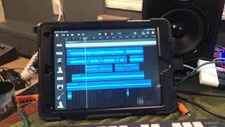 Running IPad to Monitor & Zoom L12 interface