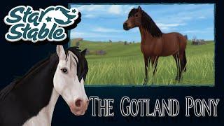 SSO - The Gotland Pony - All Animations, Colors, Manes, Stats and Price (released)