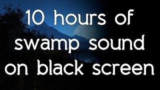  Swamp sounds swamp sound on black screen dark screen white noise HQ ASMR sounds of nature