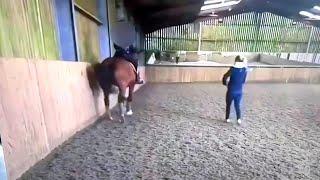 charlotte dujardin horse video, charlotte dujardin whipping horse, dujardin coaching