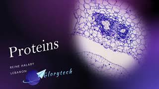 Proteins from Glorytech