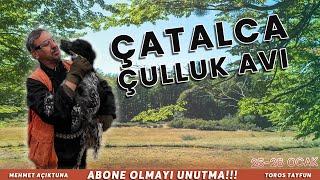 25-26 OCAK ÇULLUK AVI MÜKEMMEL FERMALAR!! #çulluk #woodcock #Best woodcock hunting #beccaccia #avcı