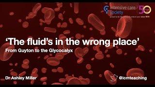 Fluids in the wrong place - from Guyton to the glycocalyx