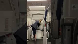 Closing an A320 door in manual mode - Flight Attendant at work -