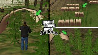 The Biggest Weed Farm in GTA San Andreas History Found! (Weed Farm Mission)