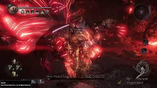 Nioh 1 Abyss Nine Tailed Fox No Damage Melee Strategy