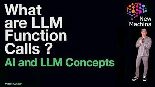 What are LLM Function Calls ?