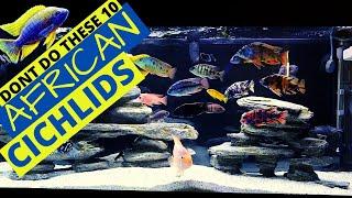 WORST 10 African Cichlid Mistakes Beginners Make