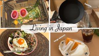 new cast iron frying pan, explore new supermarket, Gapao Rice, mango sandwich