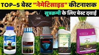 Root Knot Nematodes |  Best Nematodes insecticide | Top 5 Nematicide | सूत्रक्रमी नियंत्रण कैसे करें