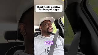 Shuler King - Shark Tests Positive
