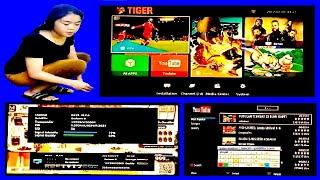 riview software tiger digunakan direceiver skybox a1 new || ampuh