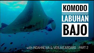 Komodo Trip Part 2. with Indahnesia & Vidi Liveaboard