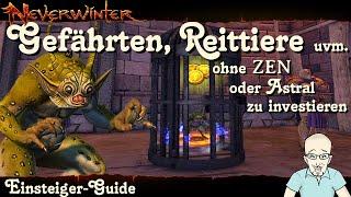 NEVERWINTER: Gefährten, Reittiere, uvm. ohne ZEN oder Astral zu investieren - Guide PS4 deutsch