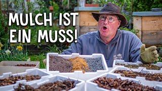 Darum ist Mulch im Garten unverzichtbar!  - Tipps & Tricks zum Mulchen