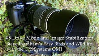 #5 Steve Ingraham’s Easy Birds and Wildlife with the OM-1: drive modes and image stabilization