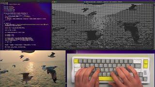 ASMR Programming - Video to ASCII C++ - No Talking