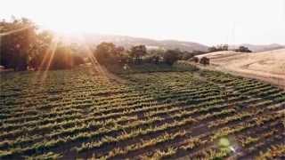 The Blue Victorian Tasting Room by Vezer Family Winery