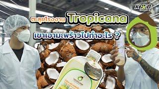 ทัวร์โรงงาน ดูวิธีทำน้ำมันมะพร้าวทำกันยังไง?  "Tropicana" l กบนอกกะลา