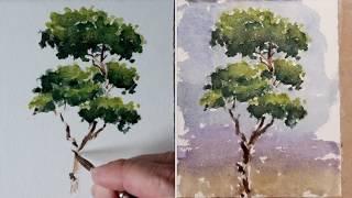 Pintando un árbol a la acuarela. Ejercicio sencillo. Con enlace al dibujo. How to paint watercolor.