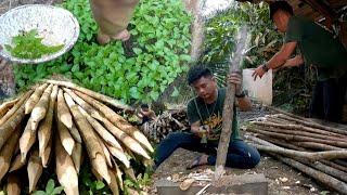 tak di sangka semua berjalan lancar bahkan di luar target warta petani muda hidup di hutan