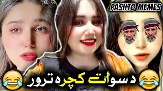 Pashto Memes: The TikTok Roasting Revolution 