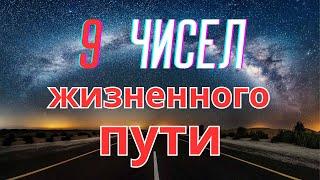 9 Чисел Жизненного Пути.  Ваша Жизненная Миссия по Нумерологии.