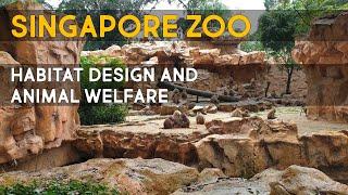 Singapore Zoo - Habitat Design and Showcase [4K60FPS]