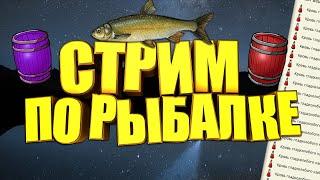 стрим рр3.99 промыслы!!!