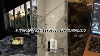 Aesthetic After School RoutineTikTok Compilation