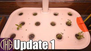 The First Two Weeks!! Spider Farmer G12 Indoor Grow System Update 1