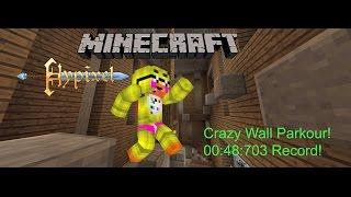 Crazy Wall Parkour! 00:48:703 of record!