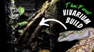 I Built a Vivarium for a RARE Gecko, Here’s How!