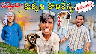 నేనే  కుక్కని  కొరికేస్న  // UNBEATABLECULTUREVIDEO/UNBEATABLECULTURE COMEDY/FUNNY/INFORMATION//