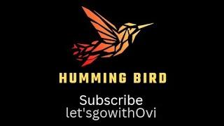 HUMMINGBIRD With Colours #whatsapp_status #wpstatus  #videos #video @letsgowithovi