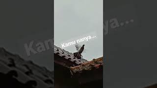 kamu nanya...