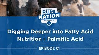 RumiNation : Digging deeper into Fatty Acid Nutrition – Palmitic Acid with Dr. Adam Lock