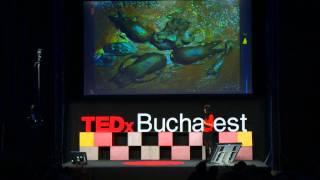 Oana Raluca Ghiocel at TEDxBucharest