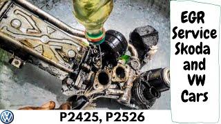 Skoda Rapid EGR Valve Cleaning | VW EGR Removal | P0401, P0403, P046F, P0477, P048C,