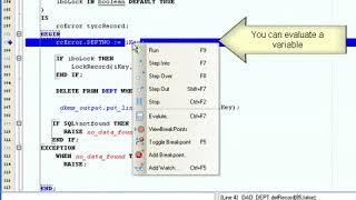 How to use a Oracle PL SQL debugger