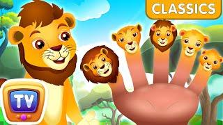 Finger Family Song - Lion - Kids Songs and Learning Videos - ChuChu TV Classics #nurseryrhymes