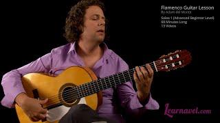 Solea - Solea Guitar Lesson for Beginner,  Flamenco Guitar by Adam del Monte at Learnavel.com